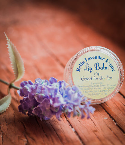 Lavender Lip Balm - Bella Lavender Estate