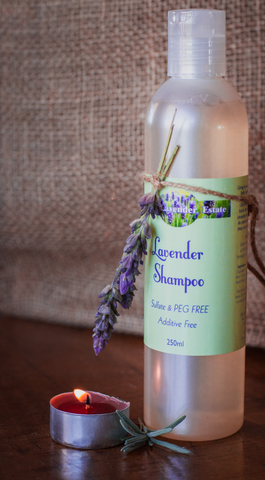 Lavender Shampoo - 250ml - Bella Lavender Estate