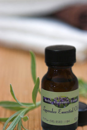 Lavender Essential Oil - 100% Pure Angustifolia - 10ml - Bella Lavender Estate